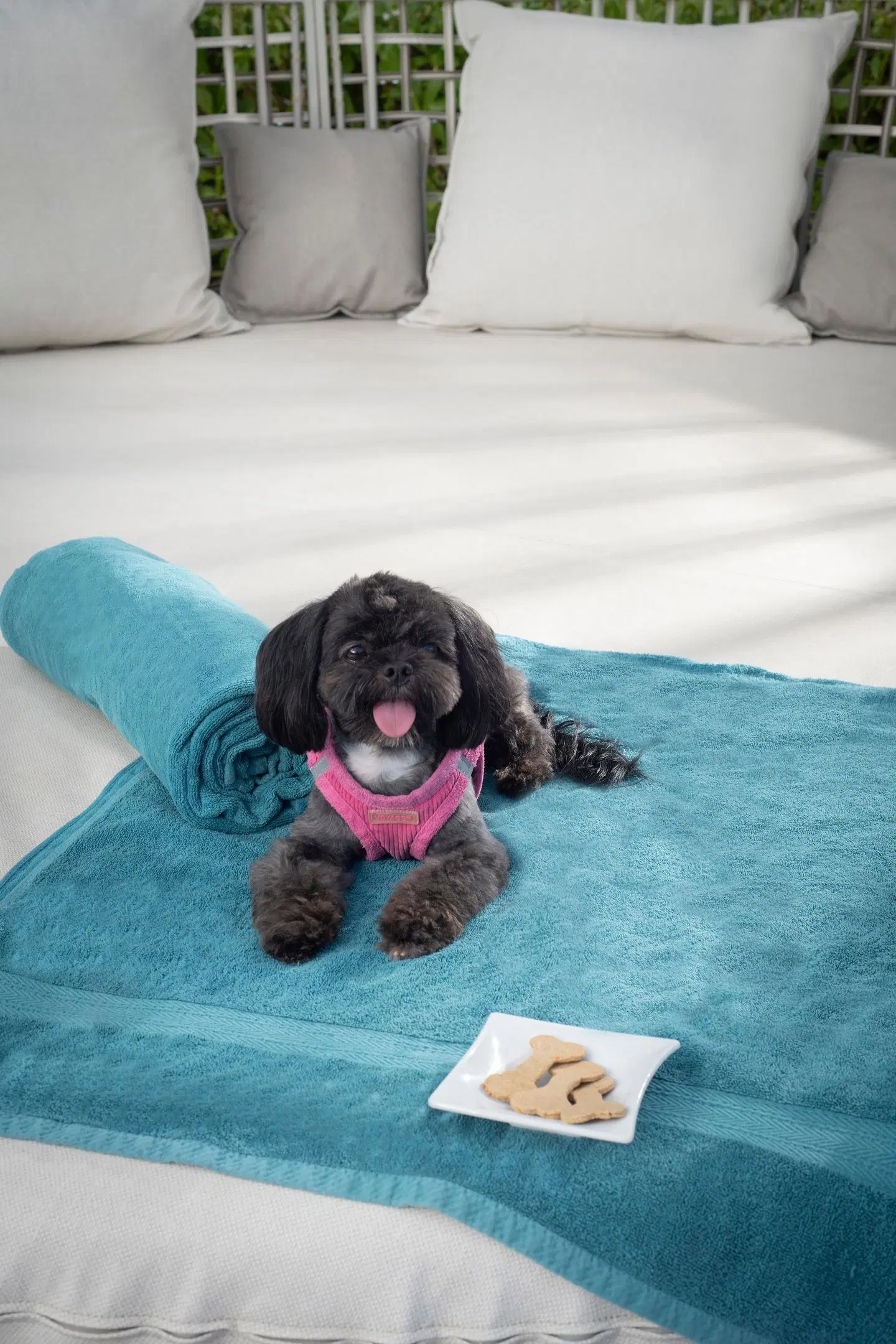 Serenade Punta Cana Beach & Spa Resort Tiere