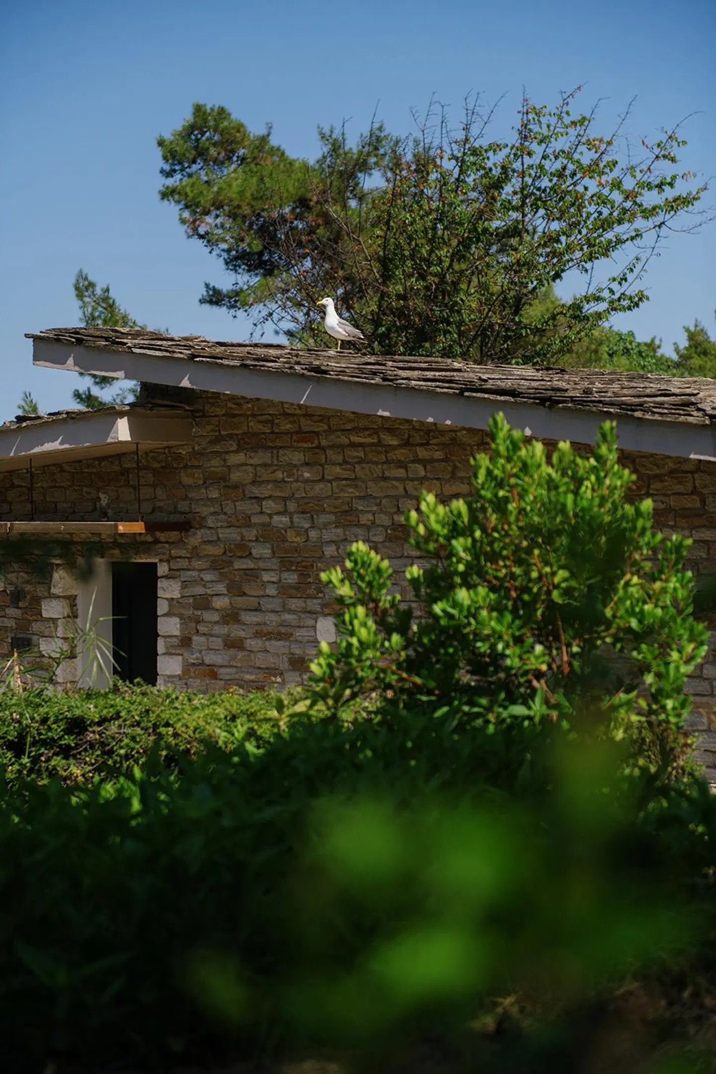 Makryammos Bungalows ROOM_EXAMPLE