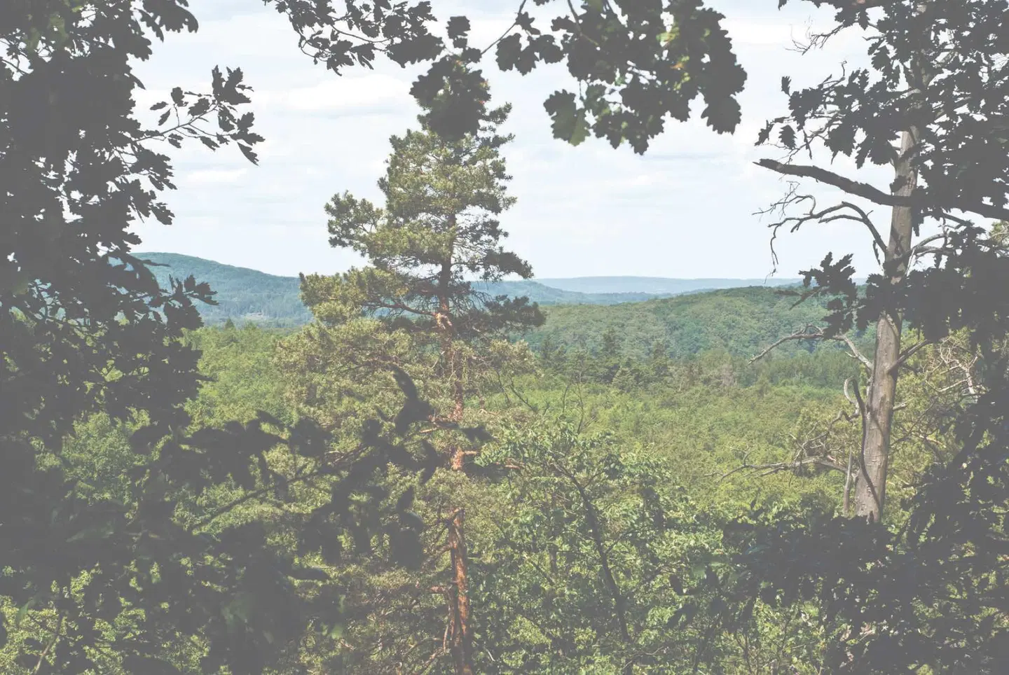 Hotel Kammweg LANDSCAPE