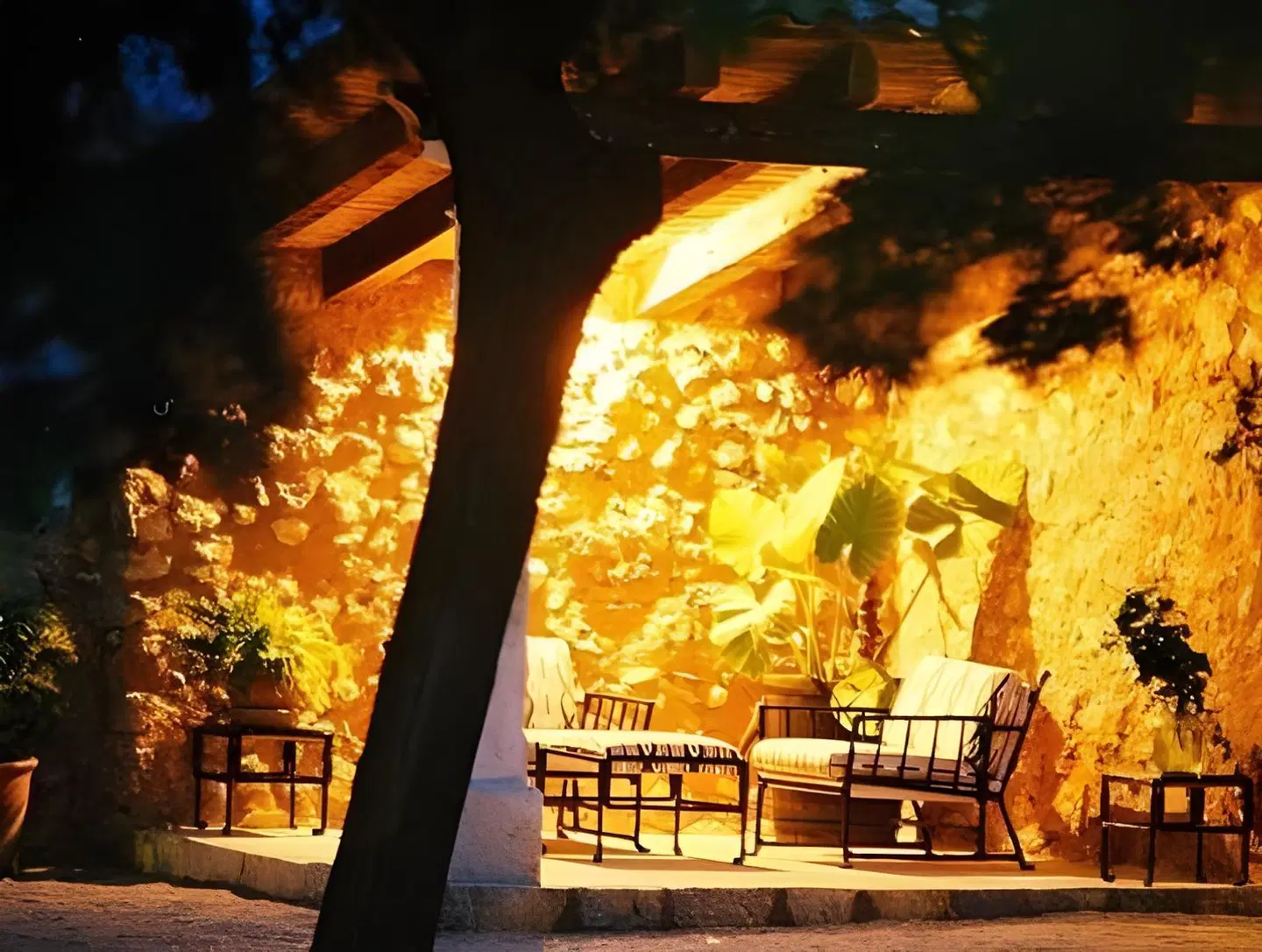 Torrent Fals Terrasse