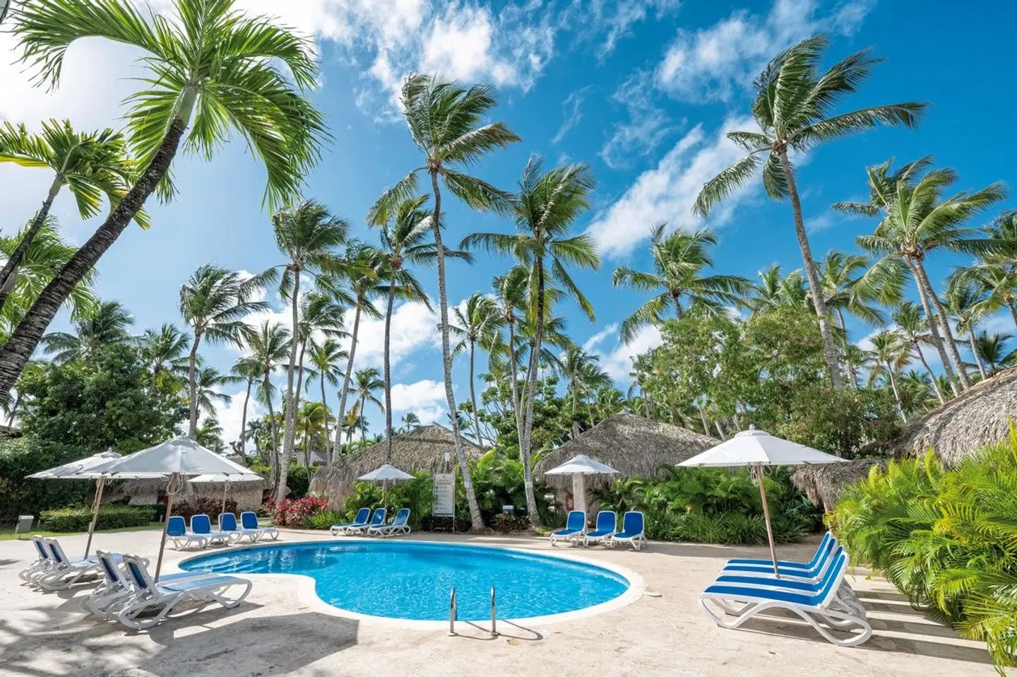 Viva Dominicus Beach by Wyndham OUTDOOR_POOL