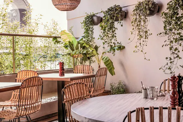 More Meni City Beach Rhodes Bar