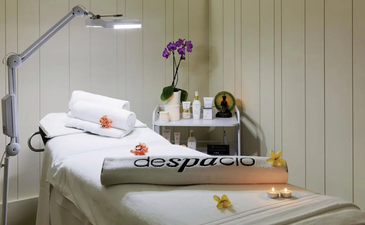 H10 Big Sur HEALTH_BEAUTY