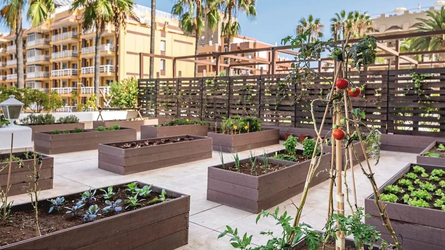 Be Live Adults Only Tenerife Terrasse