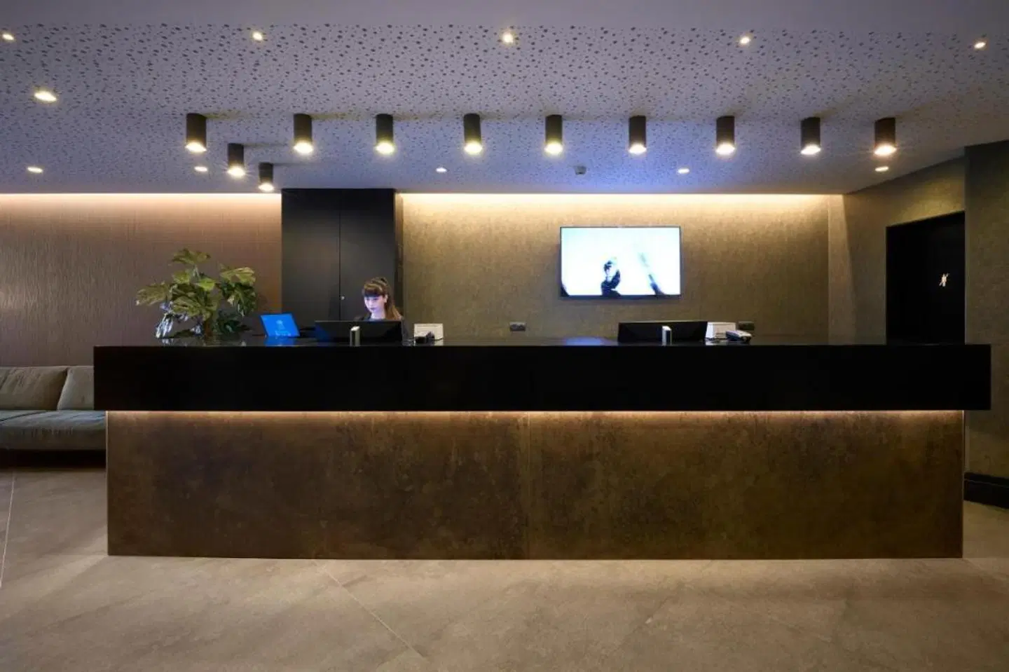 Catalonia Park Güell LOUNGE_LOBBY