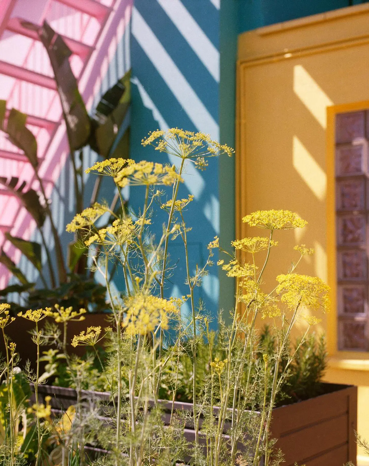 Pol & Grace Hotel HEALTH_BEAUTY