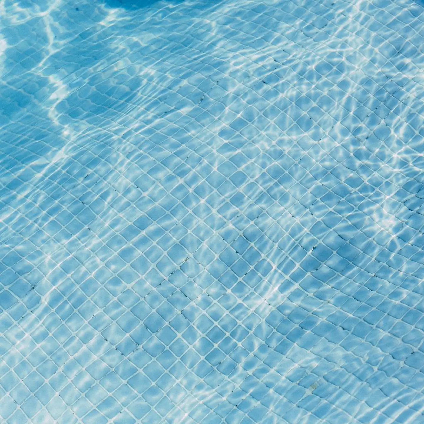 Tres Petit Palace Tiere