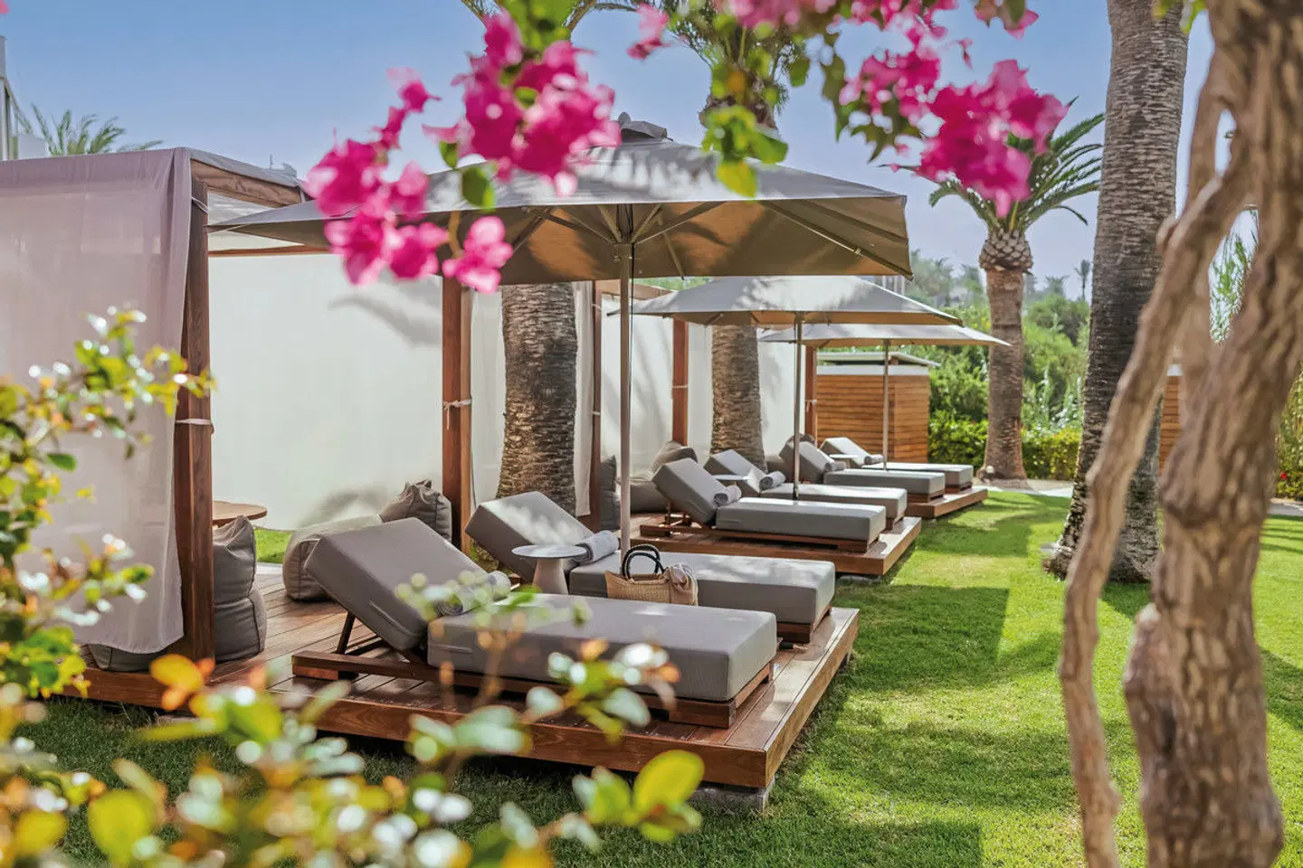 Alion Beach Hotel Garten