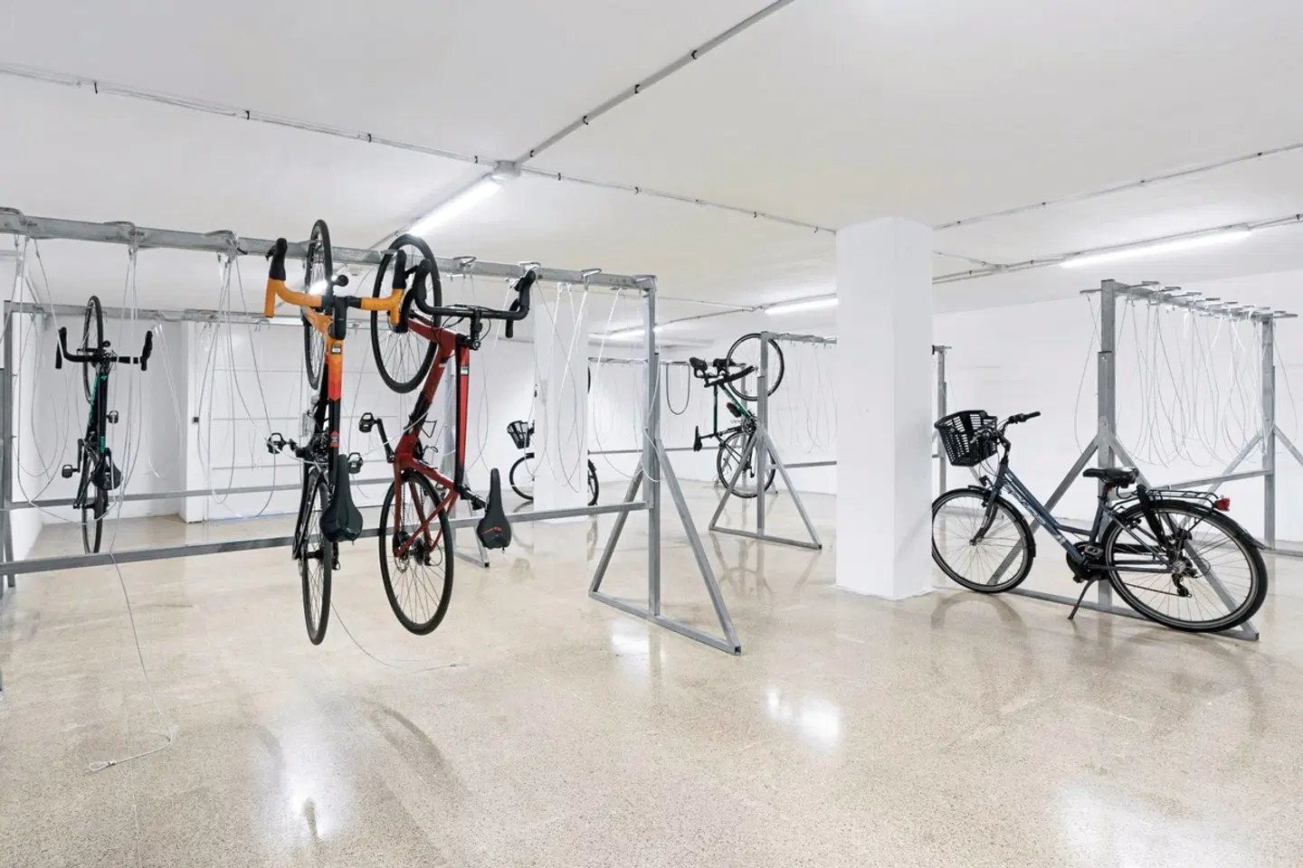 Alua Leo SPORTS_AND_LEISURE