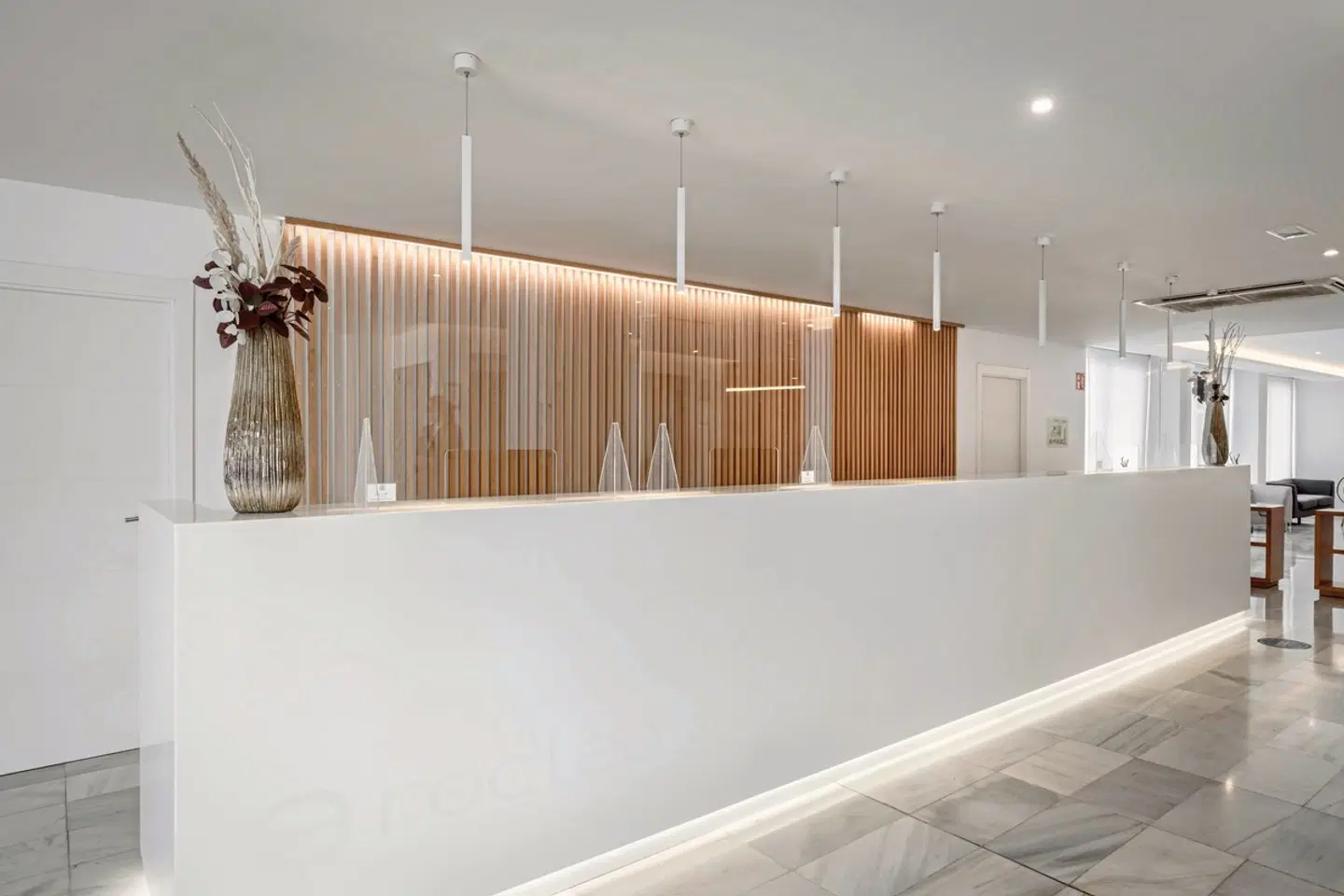 Alua Leo LOUNGE_LOBBY