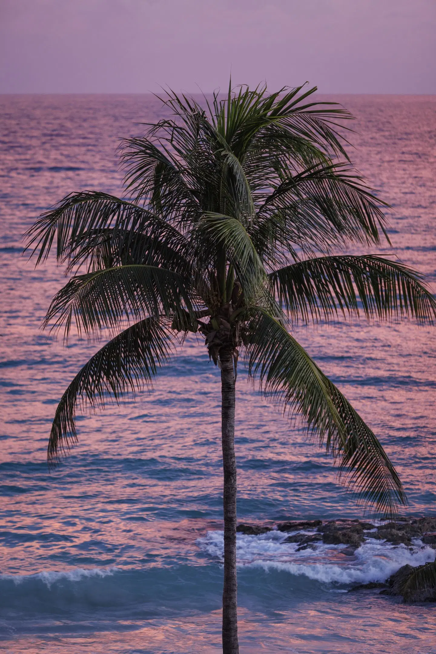 Sandals South Coast ROOM_EXAMPLE
