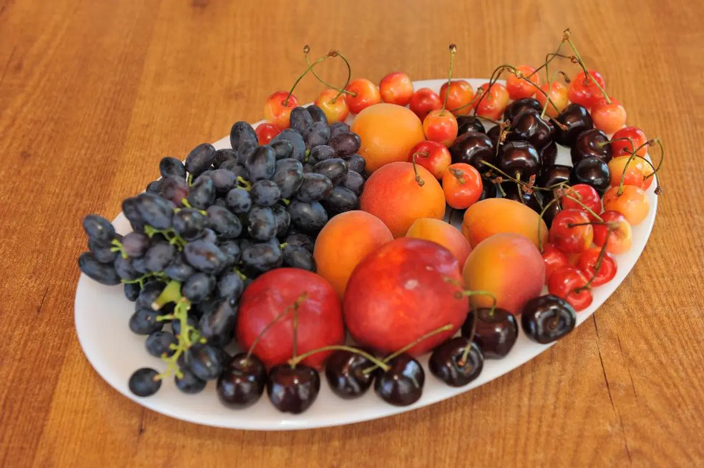 Maritime Hotel Apartments Tiere