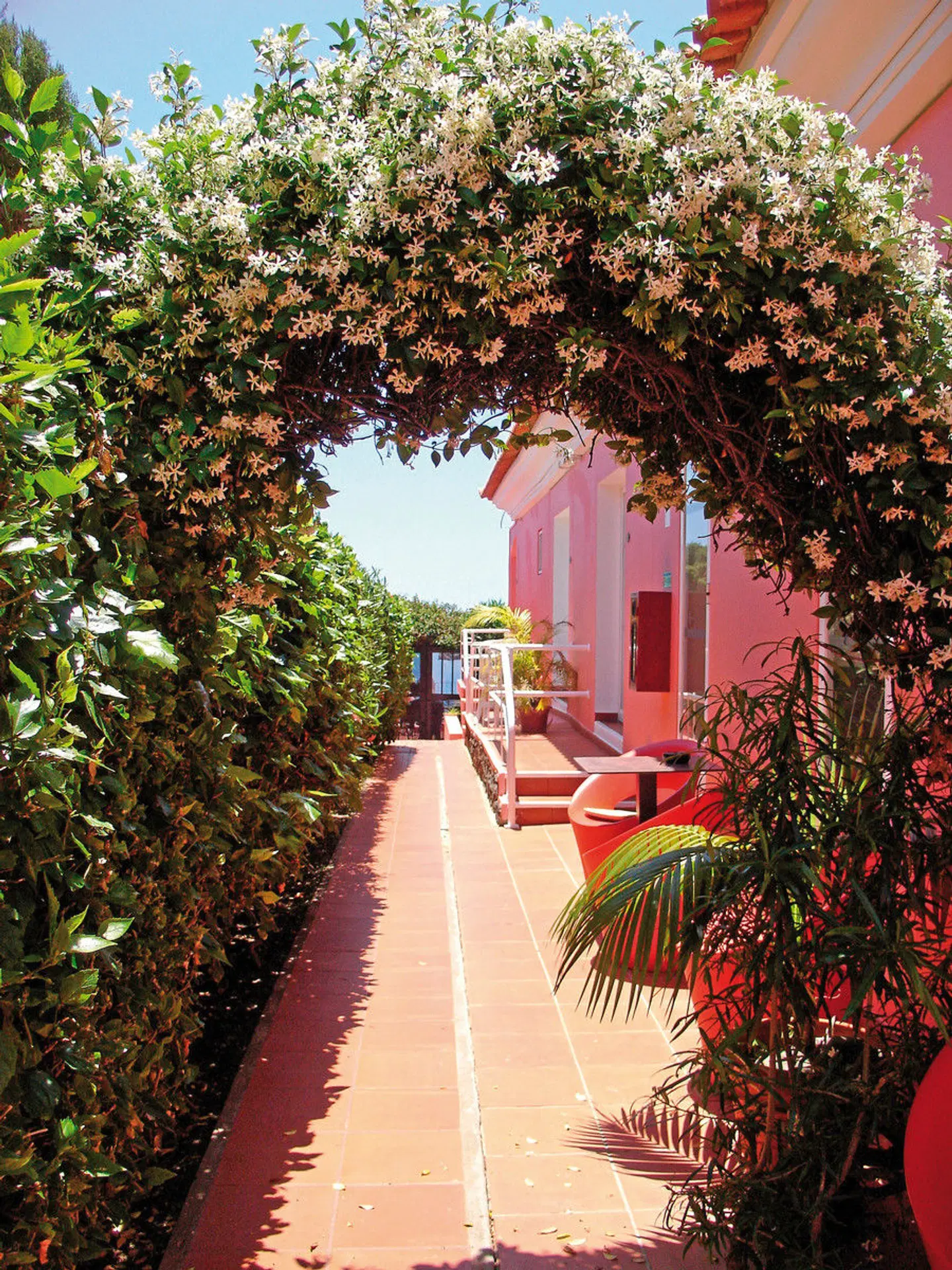 Inn & Art Madeira Terrasse