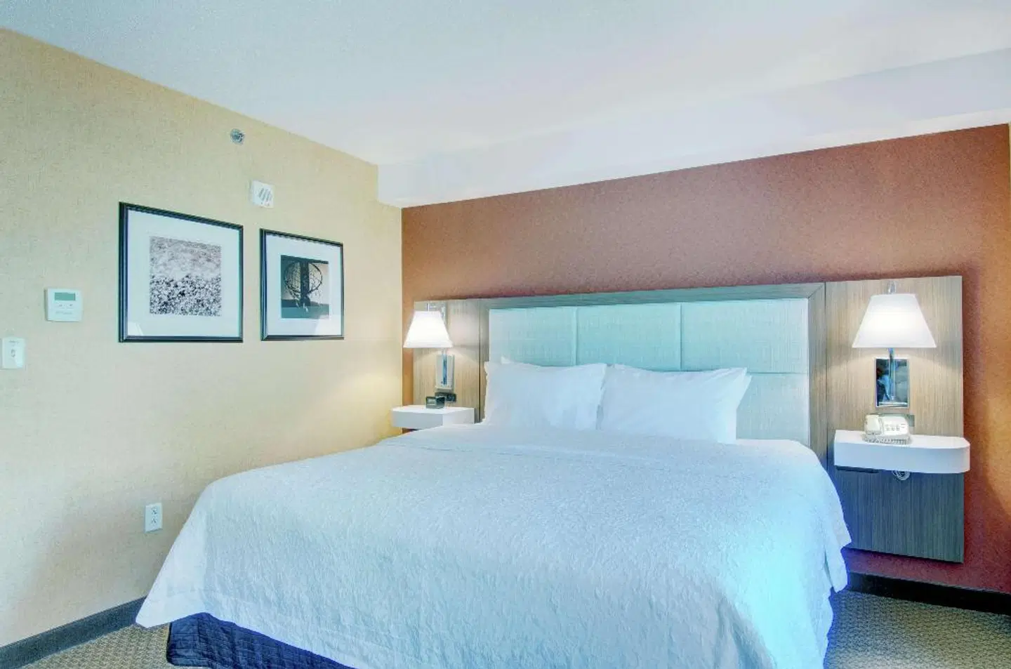 Hampton Inn & Suites Boston Crosstown Center ROOM_EXAMPLE