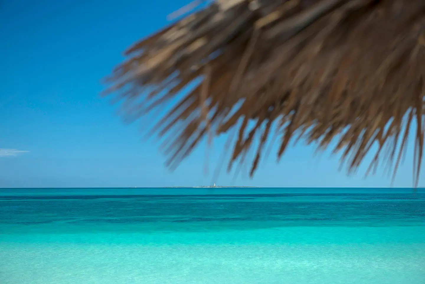 Iberostar Origin Playa Alameda LANDSCAPE