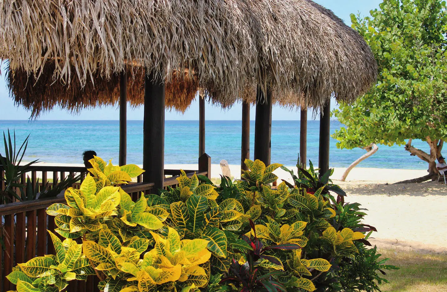 Starfish Jibacoa Garten