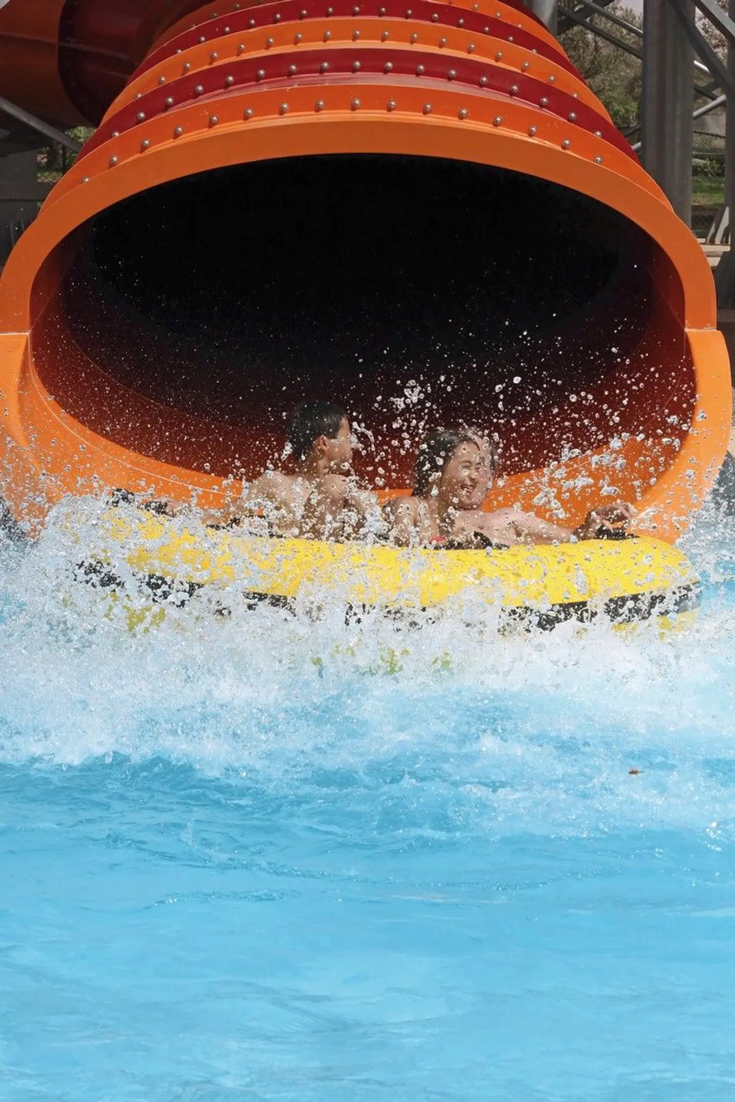 Valeria Dar Atlas Tiere