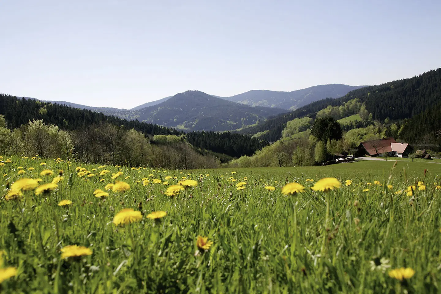 Häfner's Flair Hotel Adlerbad LANDSCAPE