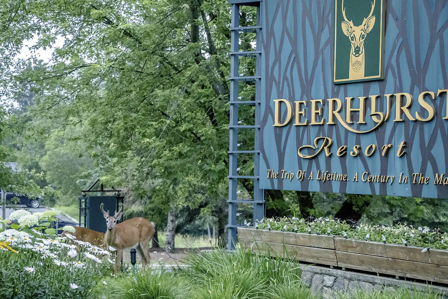 Deerhurst Resort Garten