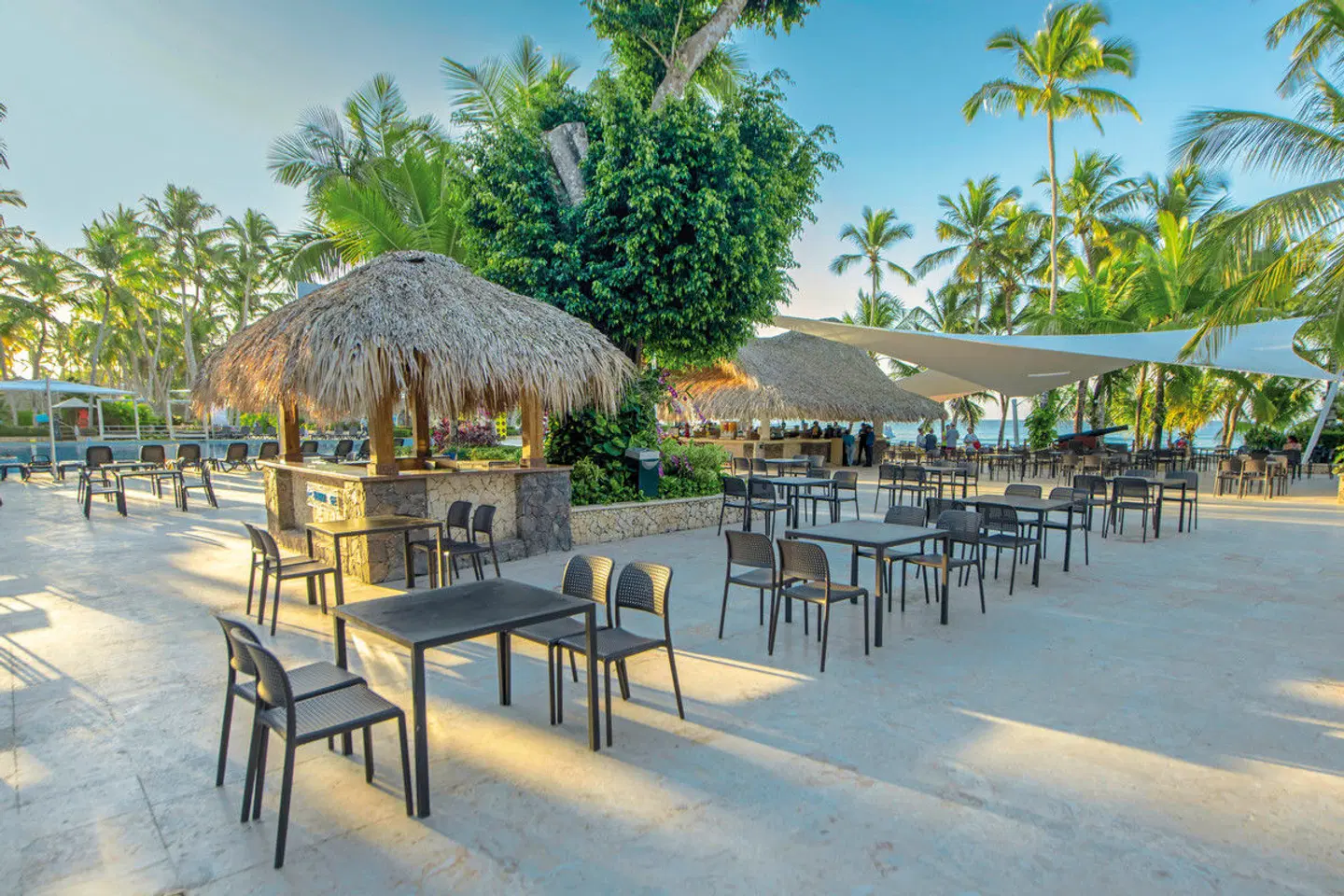 Viva Dominicus Beach by Wyndham Bar
