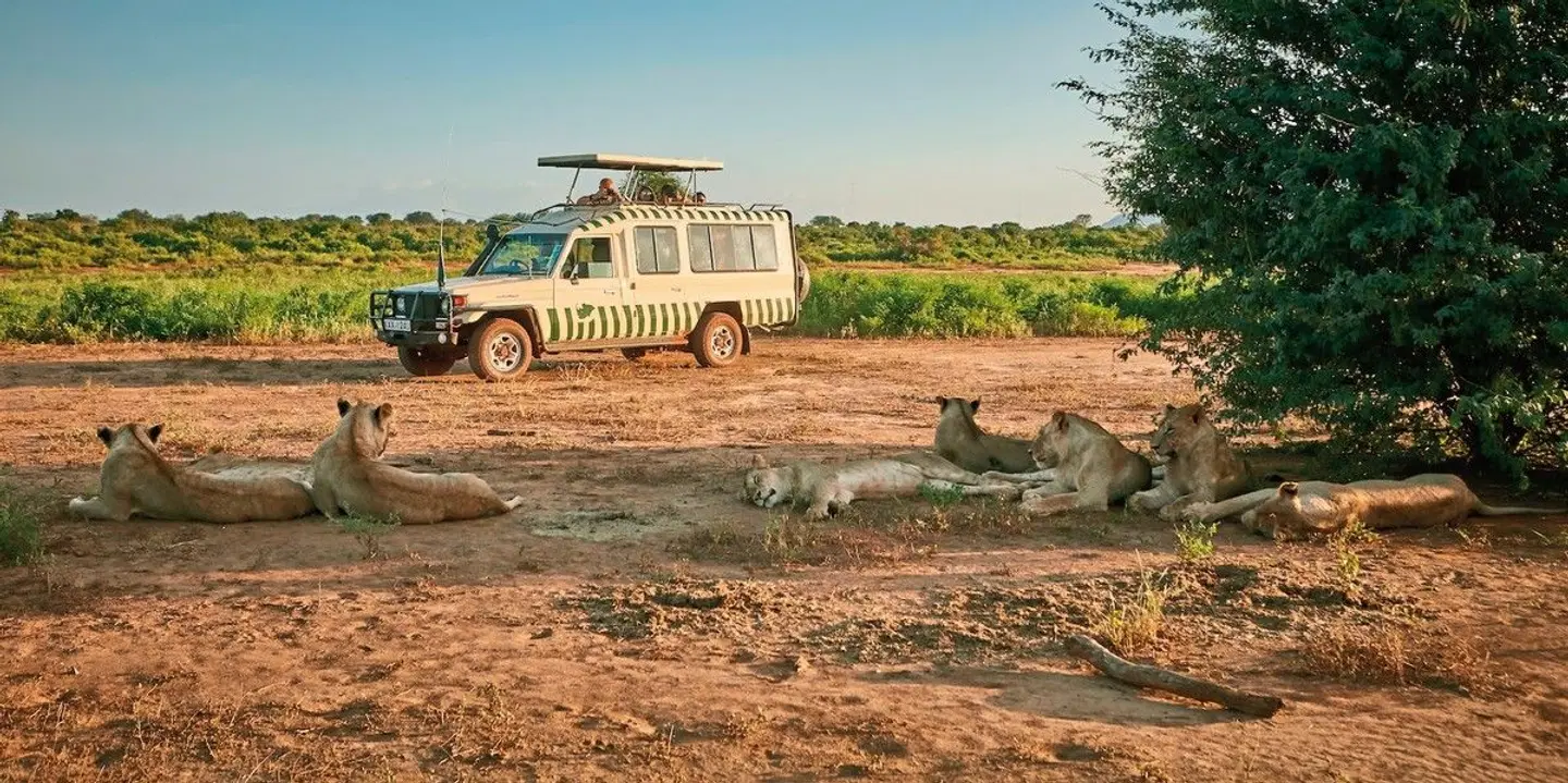 Papillon Lagoon Reef Tiere