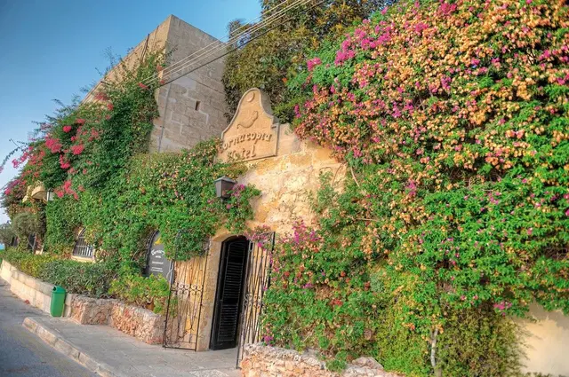 Cornucopia Hotel EXTERIOR