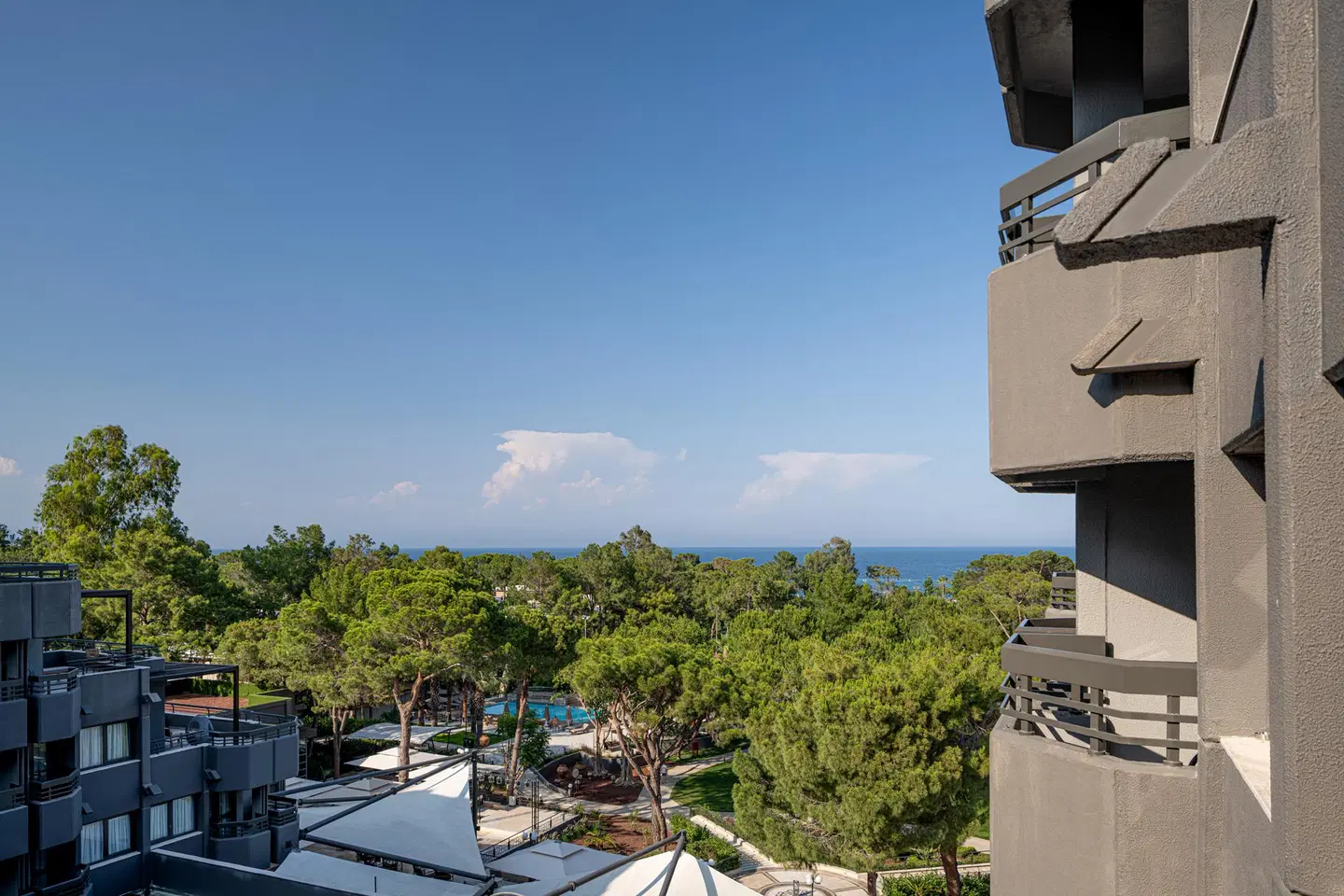 Balmy Foresta ROOM_EXAMPLE