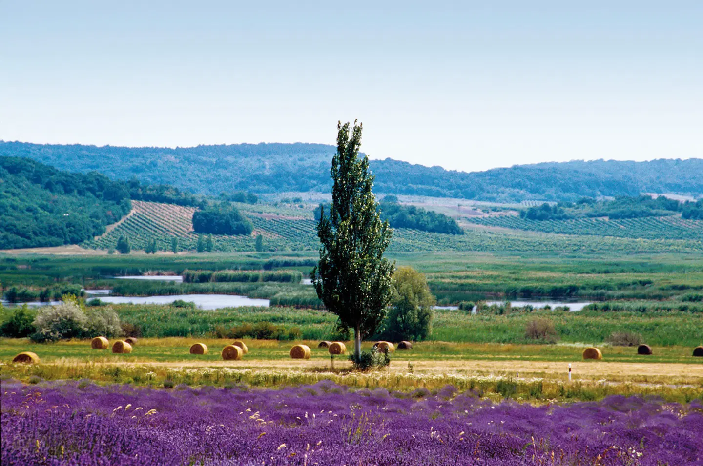 Club Tihany Bungalók LANDSCAPE