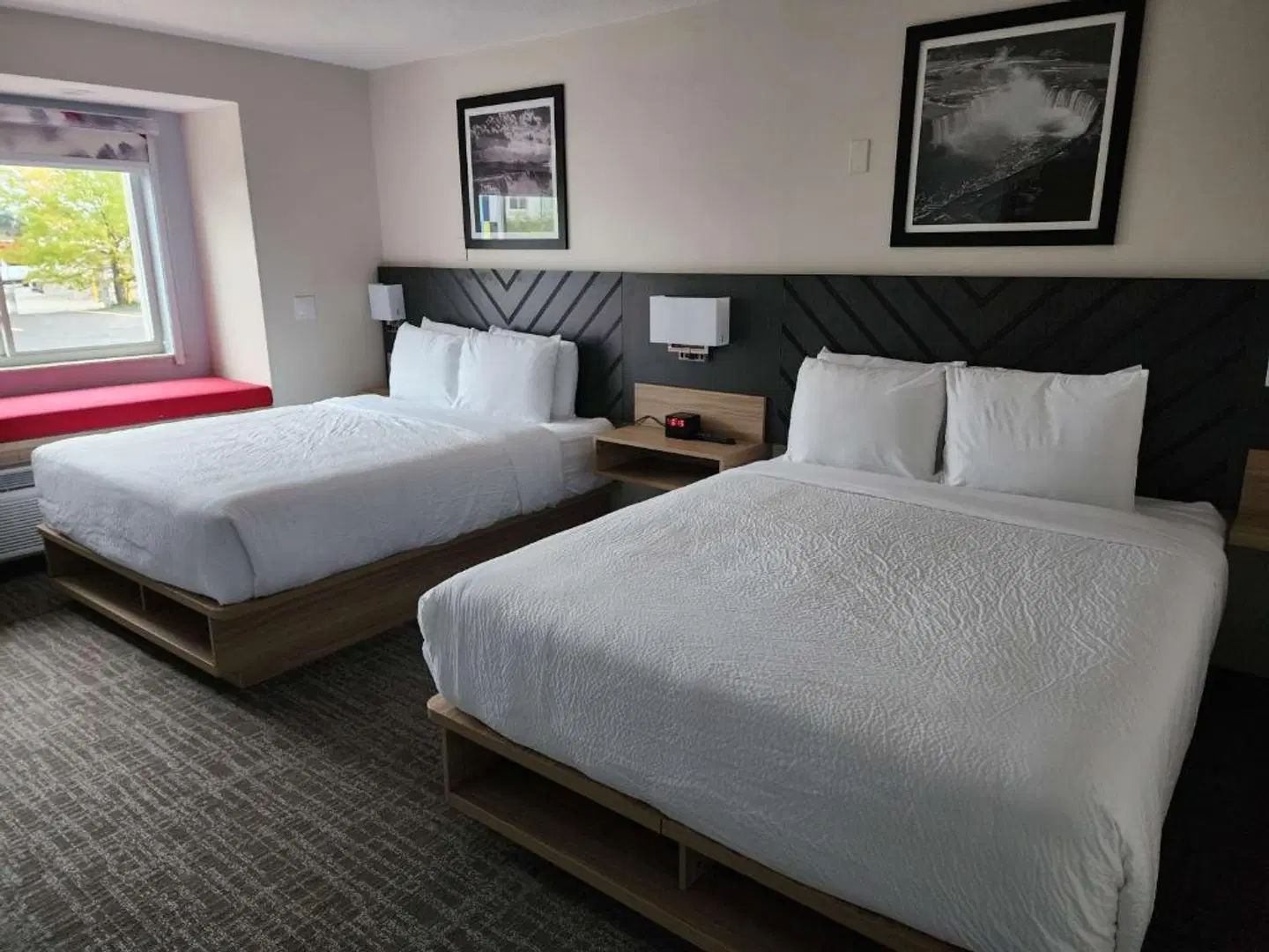 Best Western Buffalo Inn & Suites ROOM_EXAMPLE