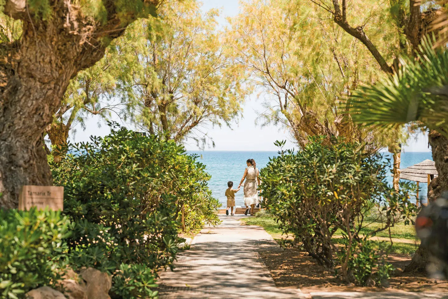 Phãea Cretan Malia Garten