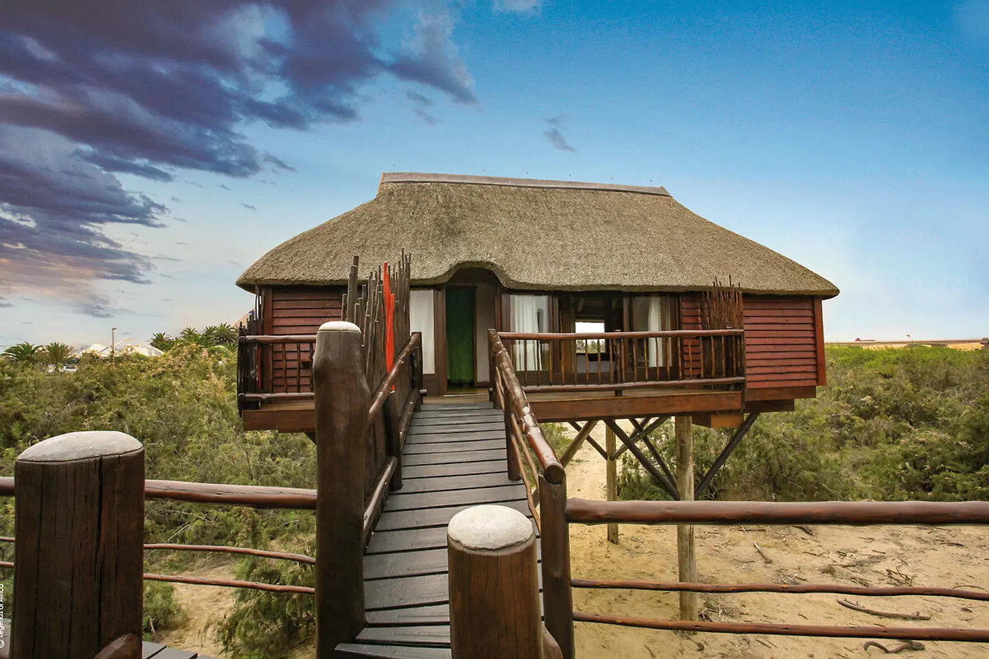 Stiltz Guest House Tiere