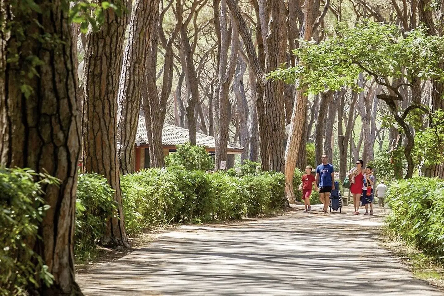 Gitavillage Le Marze Garten