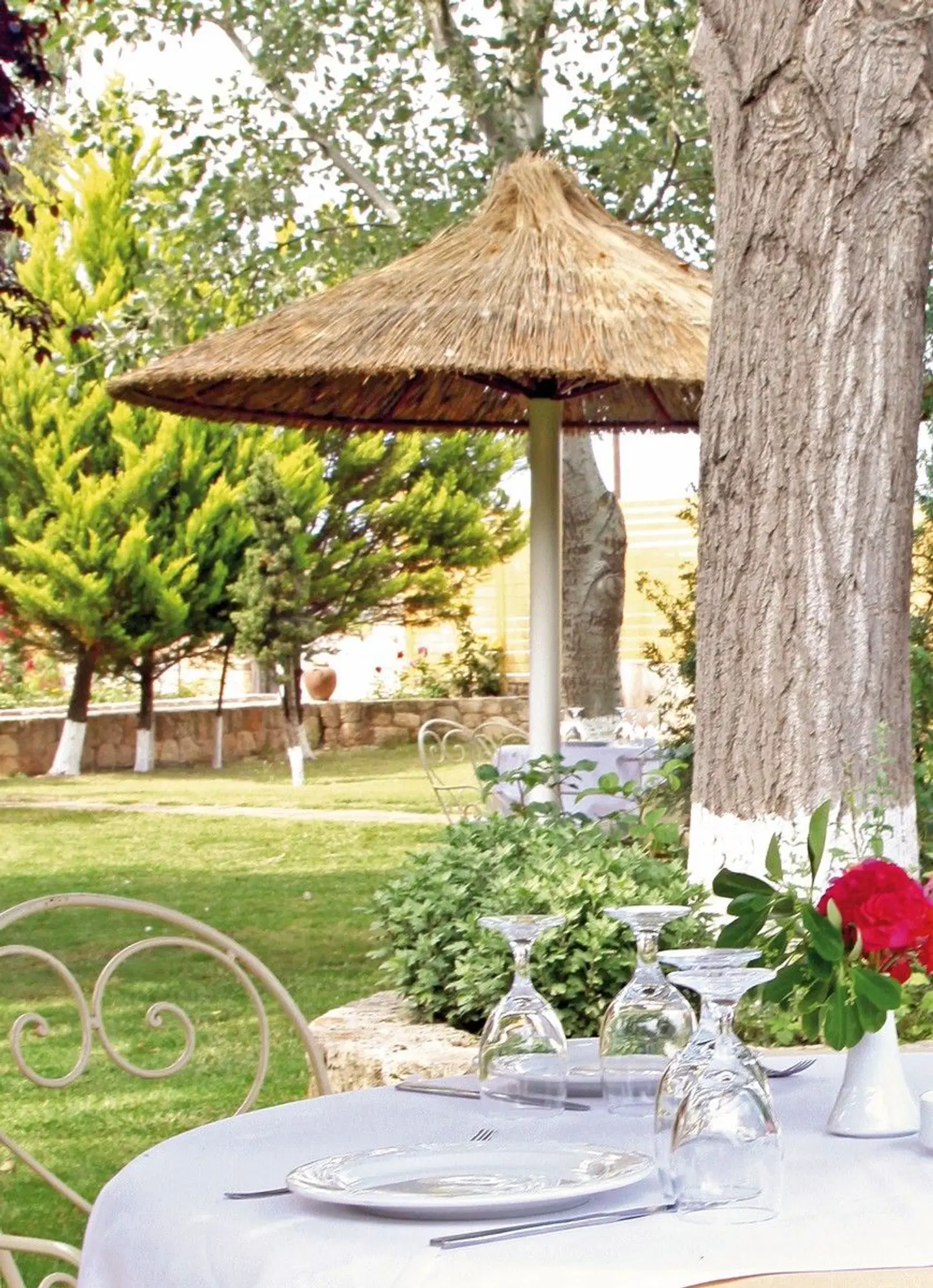 Petrino Eco Village Garten