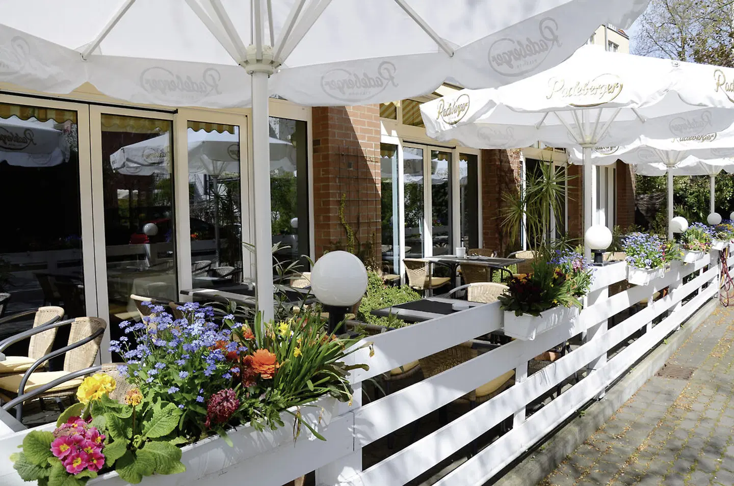 Taste Hotel Dresden Terrasse