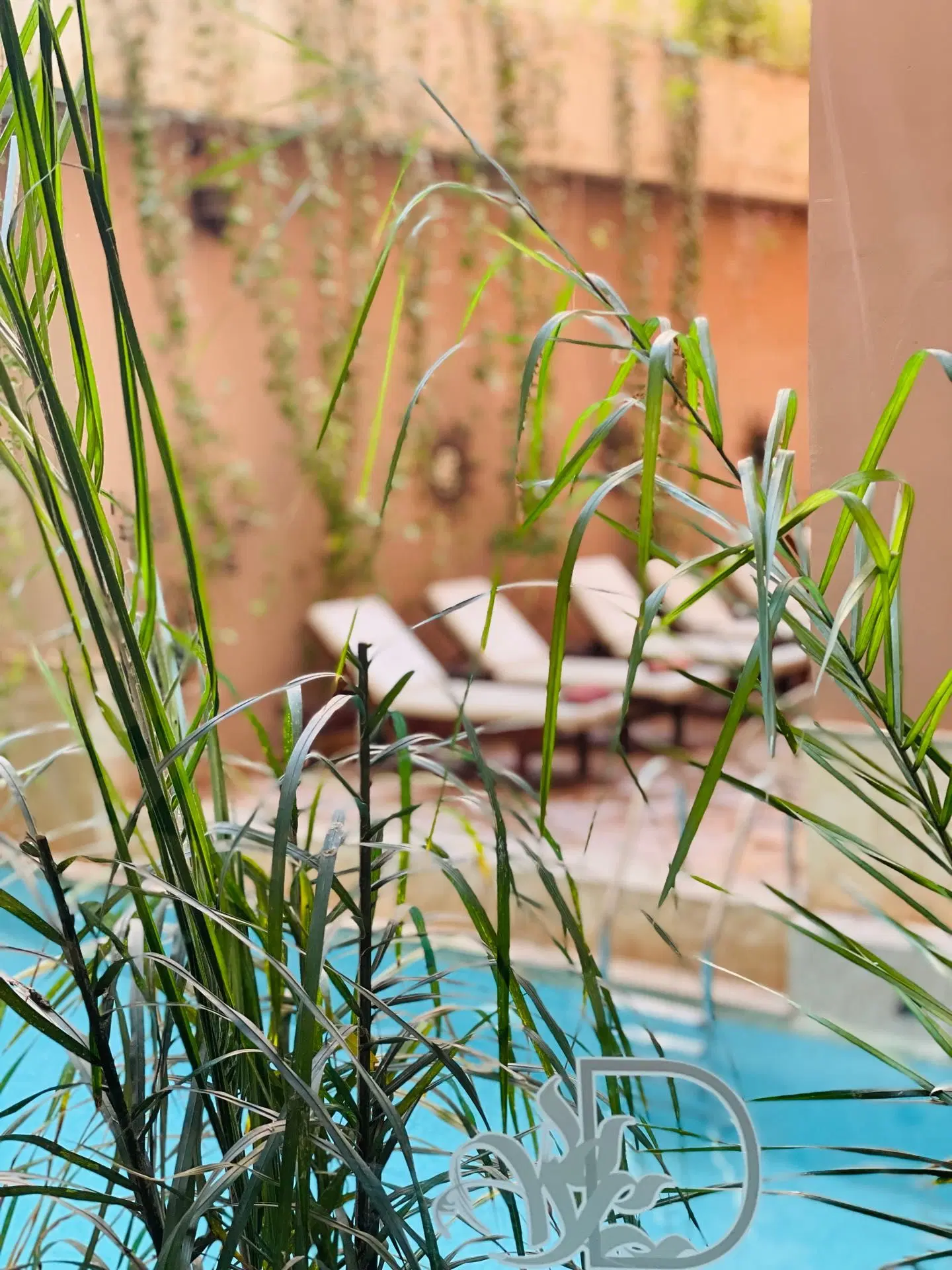 Dellarosa Boutique Hotel & Spa Tiere