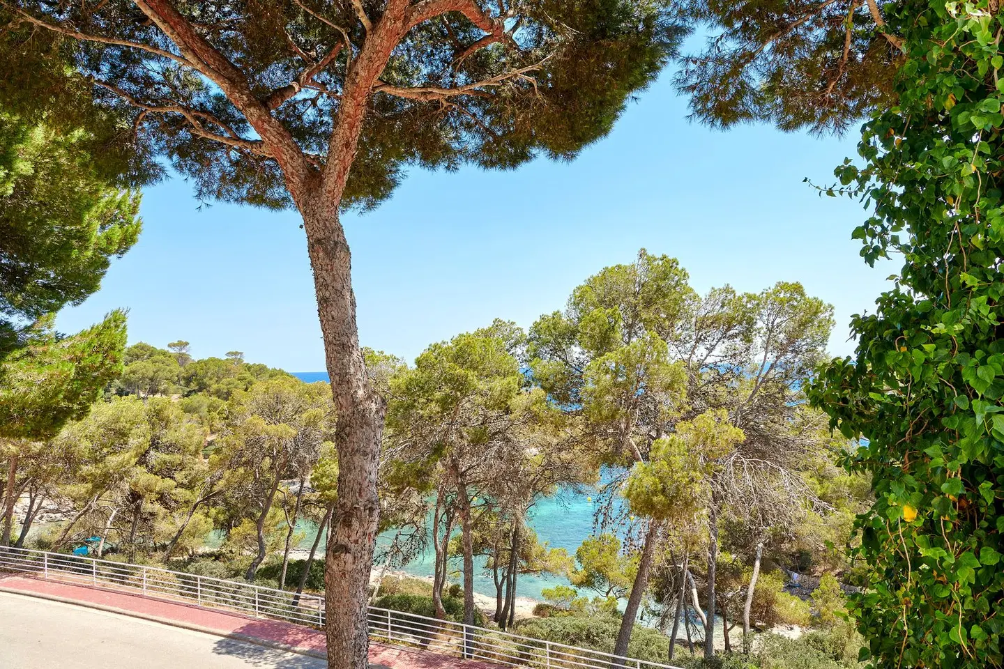 Iberostar Waves Club Cala Barca ROOM_EXAMPLE