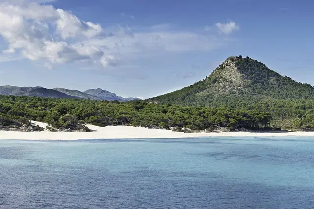 Bella Playa & Spa LANDSCAPE