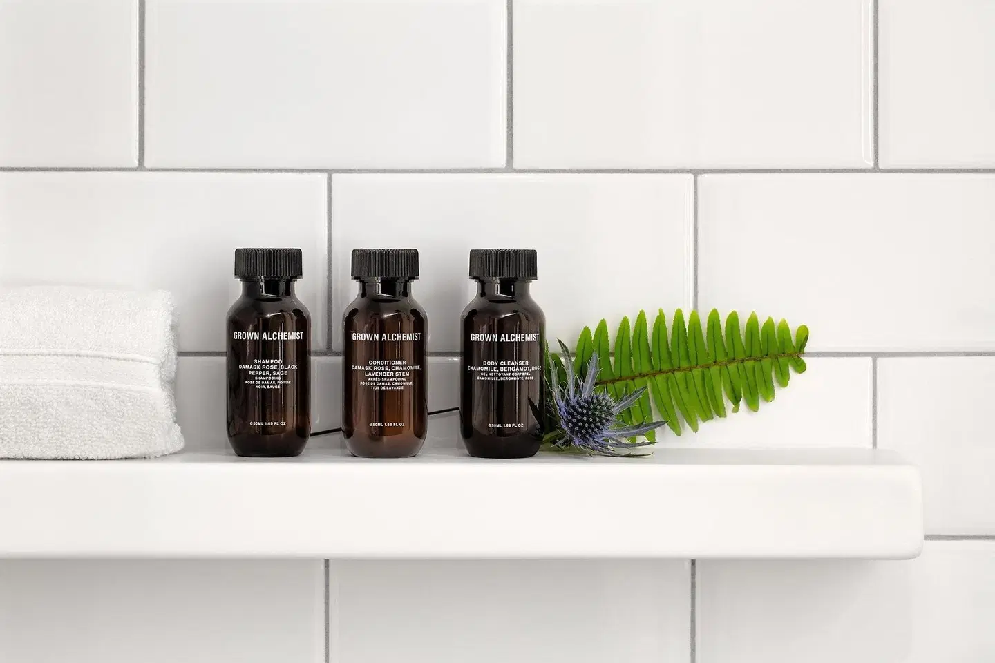 The Whitney Hotel Boston MODEL_IMPRESSION