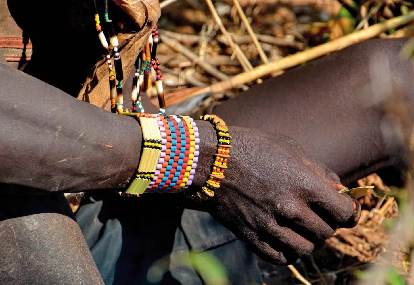 Kultur und Safari Tiere