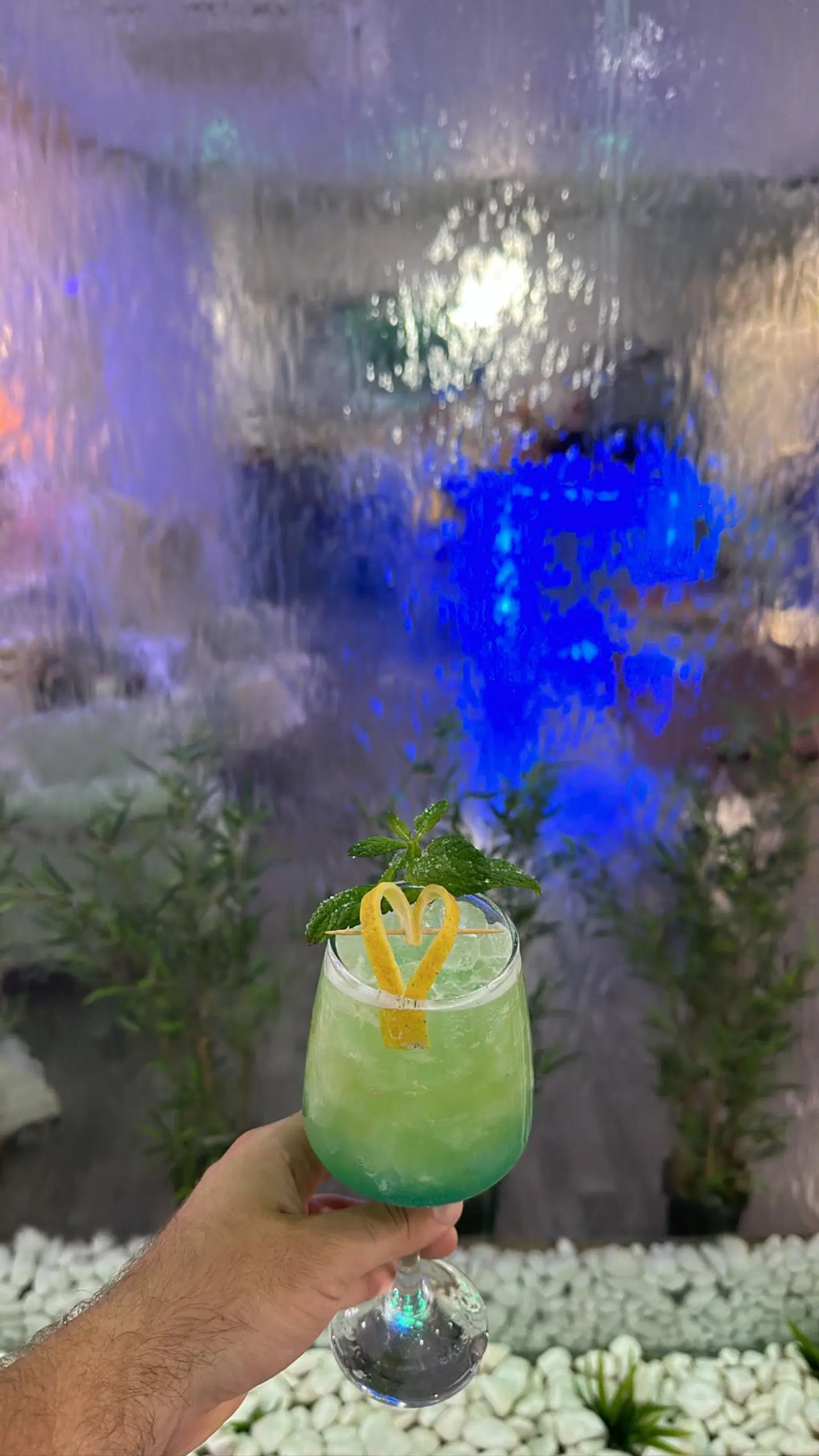 THALIA deco CITY & BEACH HOTEL Tiere