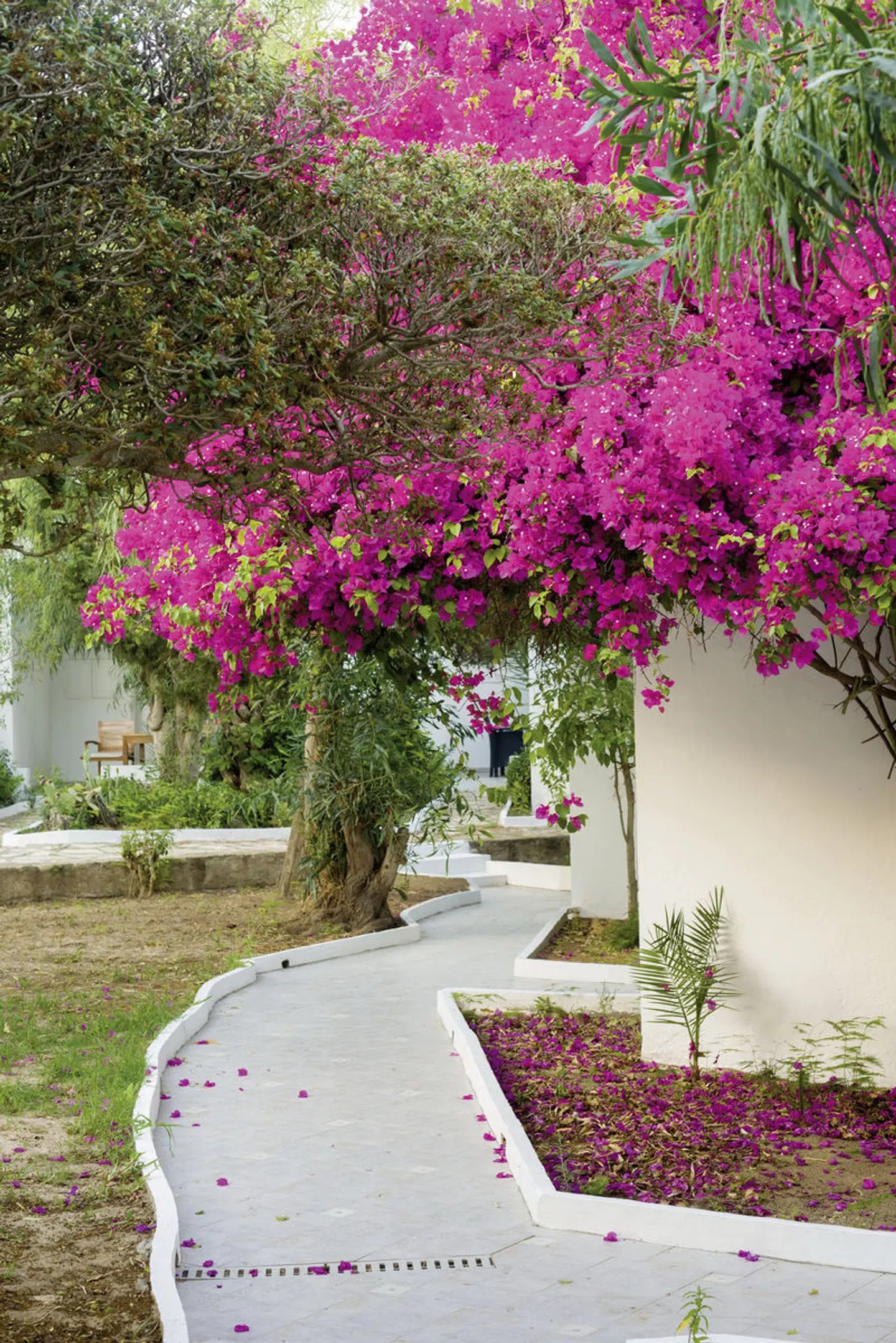 The Sindbad Terrasse