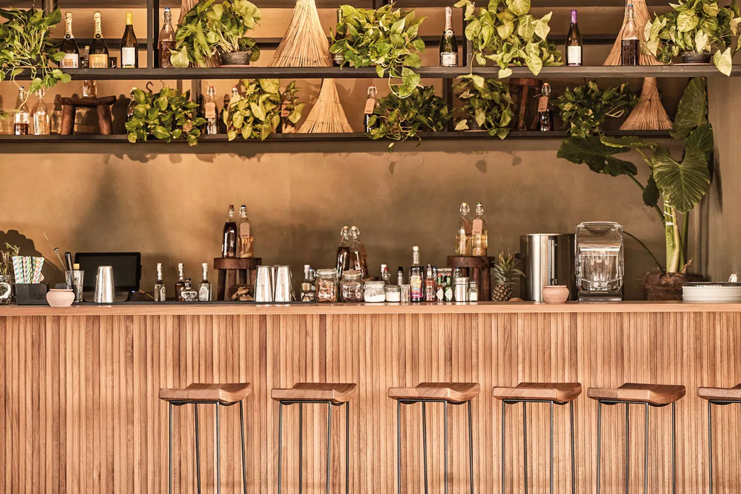 Casa Cook El Gouna Bar