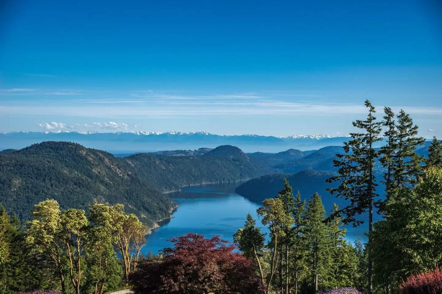 Villa Eyrie Resort LANDSCAPE