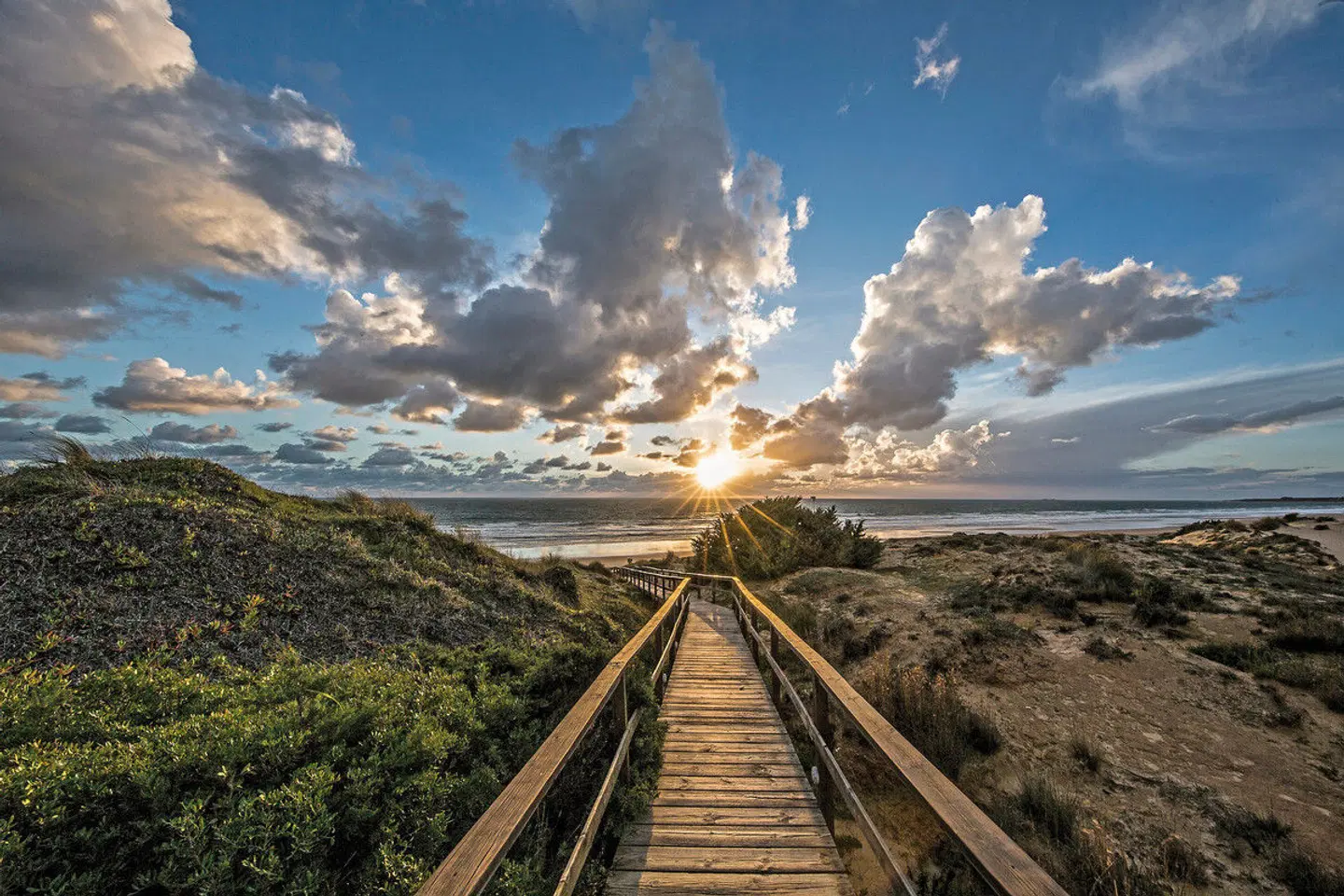 Palacio de Sancti Petri Gran Meliá LANDSCAPE