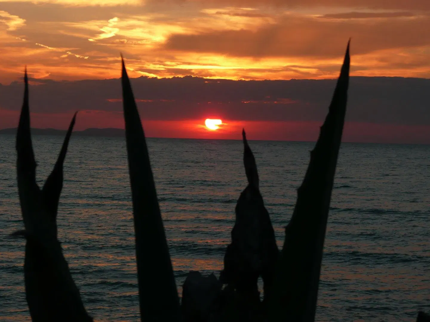 St. George's Bay Country Club LANDSCAPE