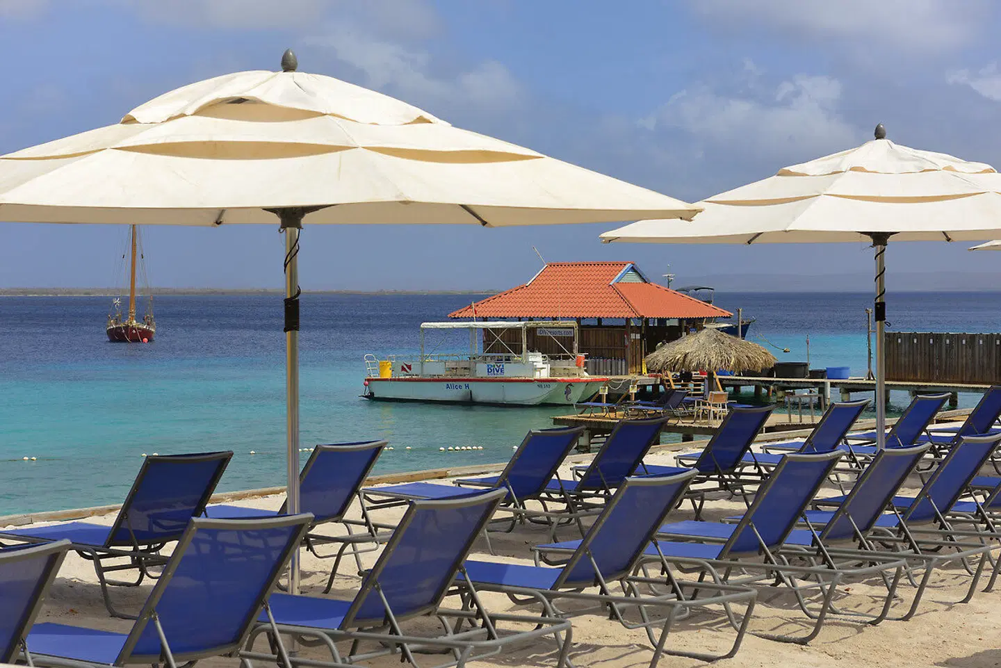 Divi Flamingo Beach Resort & Casino Terrasse