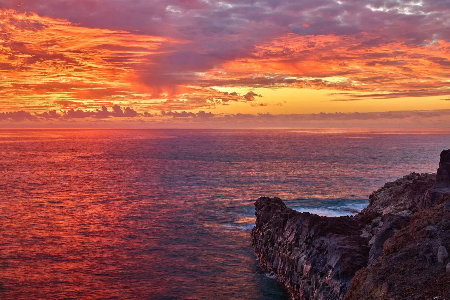 La Palma Apartments Affiliated by Melia LANDSCAPE