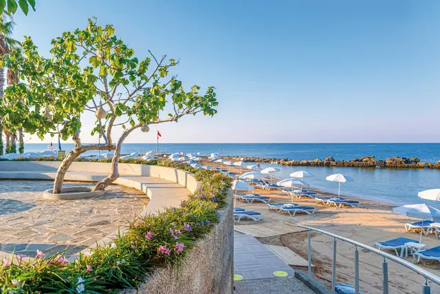 Numa Bay Exclusive Strand