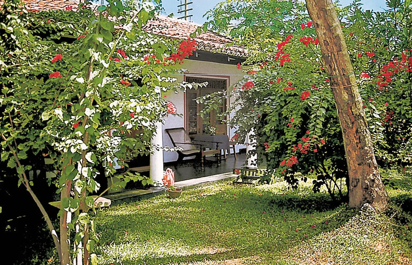 Susantha Garden Garten