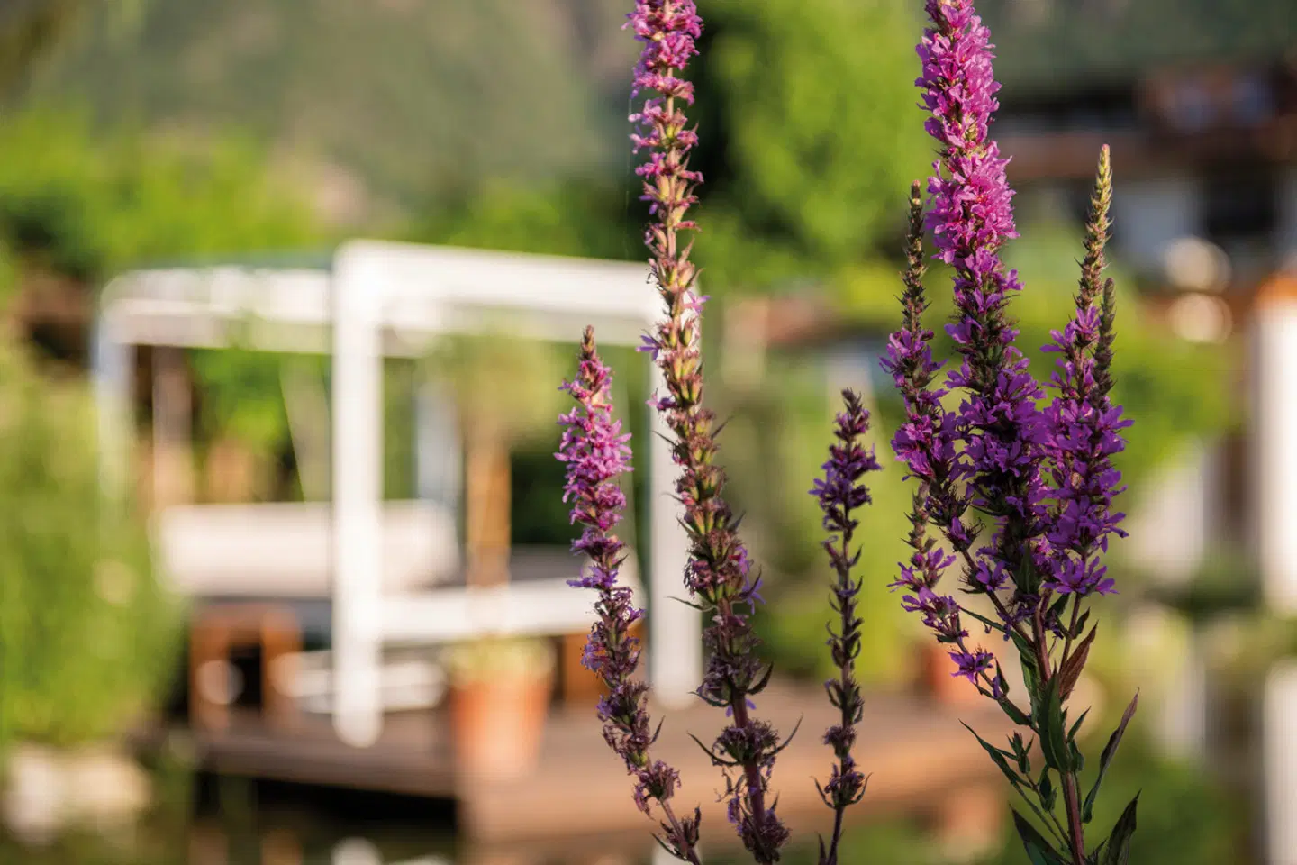 Hotel Rössl LANDSCAPE